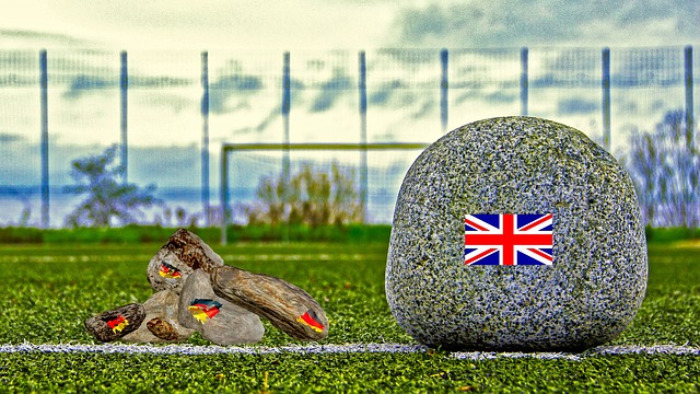 健身房中的 健身房中的