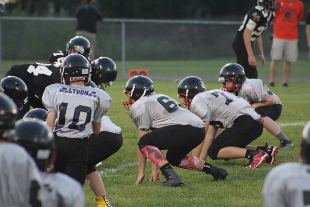 加强青训体 加强青训体