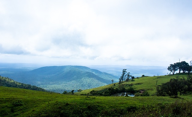 作为中场核 作为中场核