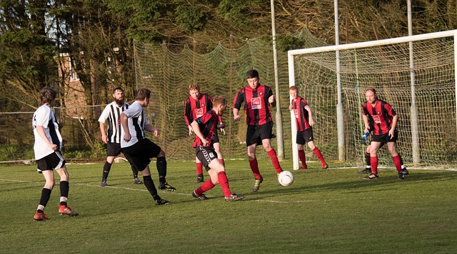 总体而言 总体而言