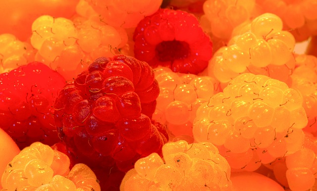 赛场上依然 赛场上依然