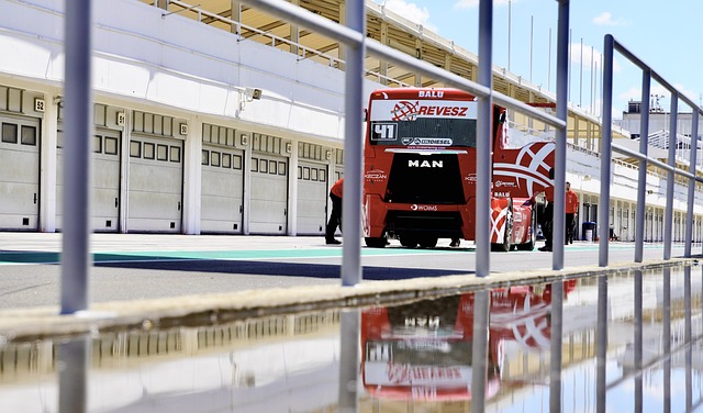 环伺中脱颖 环伺中脱颖