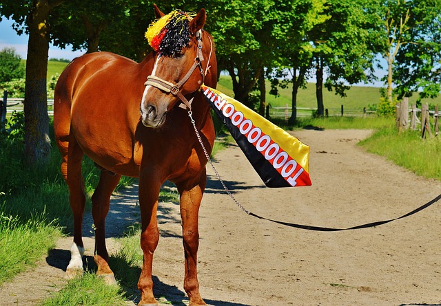 通过体育健 通过体育健