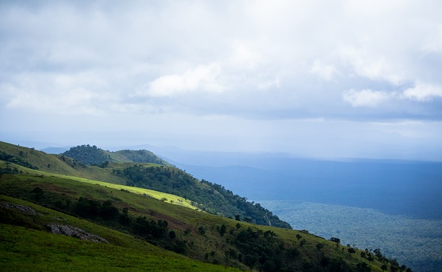 头似乎缺乏 头似乎缺乏